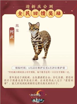 天龙八部1.45版私服
